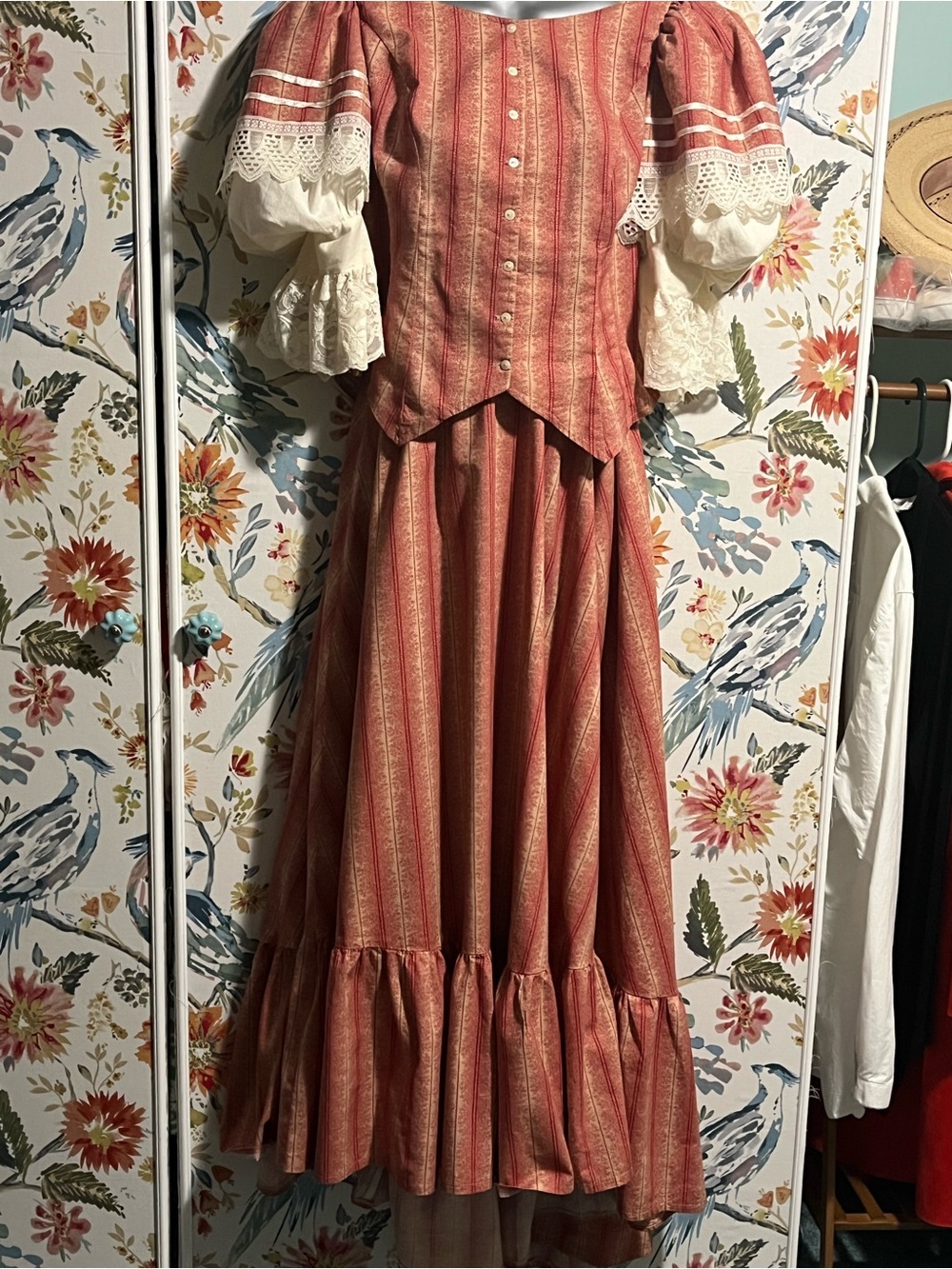 Recollections: Victorian-Inspired Striped Rust Dress with Lace Sleeves - Picture 3 of 8